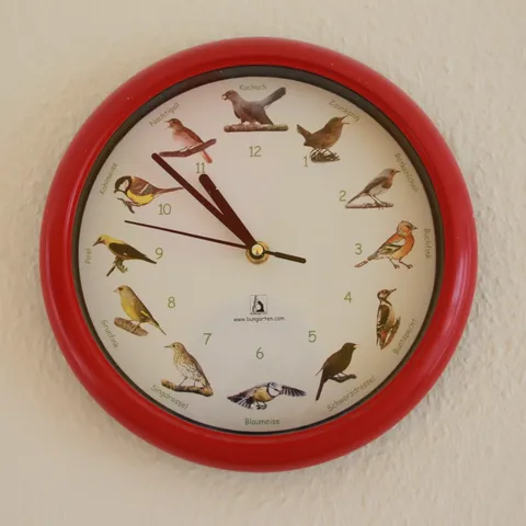Wanduhr mit rotem Rahmen, auf dem Zifferblatt heimische Vogelarten.