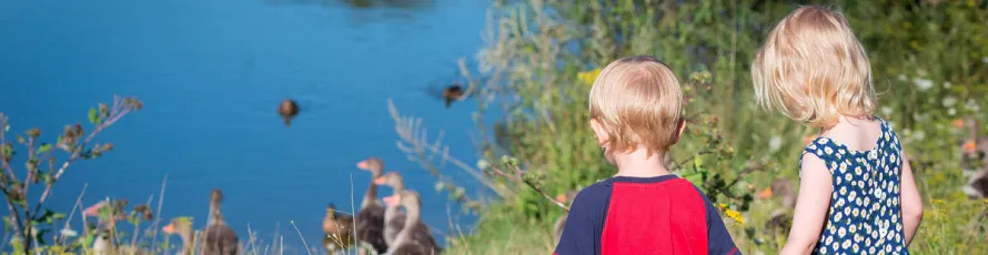 Zwei Kinder stehen an einem Ufer und schauen auf Enten im Wasser.